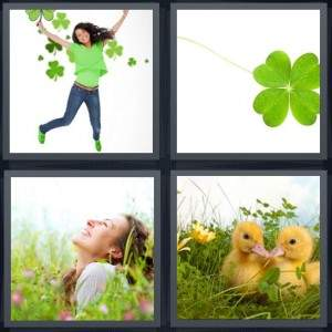 7-letters-answer-clover