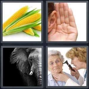 3-letters-answer-ear