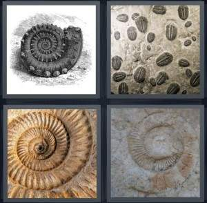 7-letters-answer-fossil