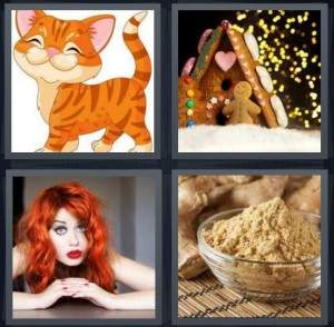 7-letters-answer-ginger