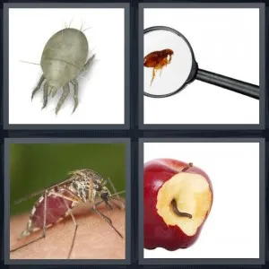 8-letters-answer-parasite