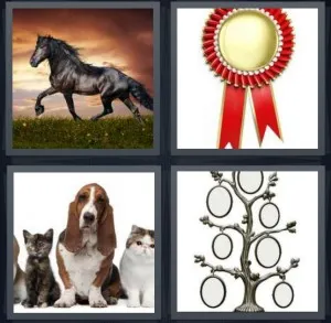 8-letters-answer-pedigree