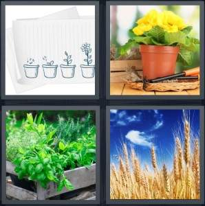 7-letters-answer-plants