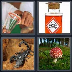 7-letters-answer-poison