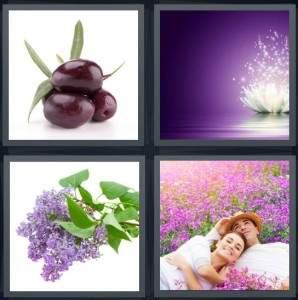 7-letters-answer-purple