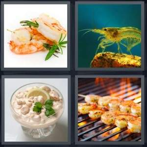 7-letters-answer-shrimp