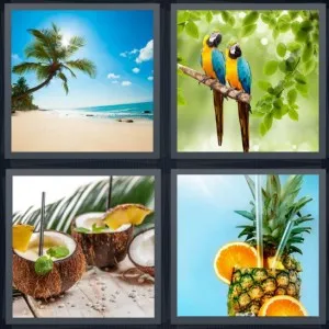 8-letters-answer-tropical