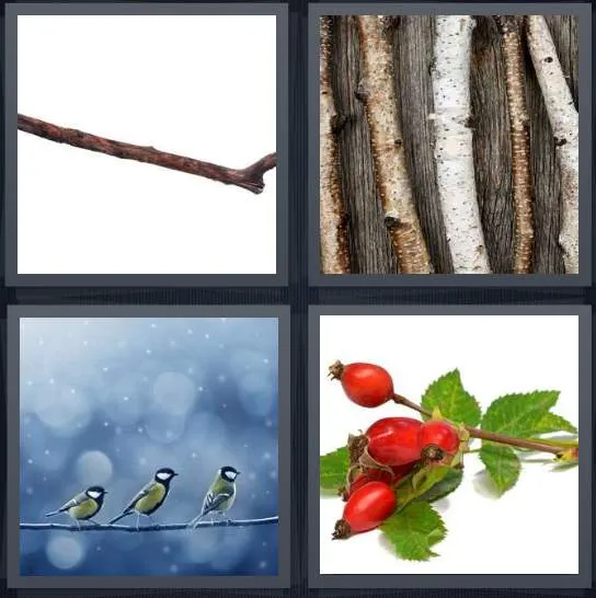 7-letters-answer-twig