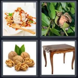 7-letters-answer-walnut